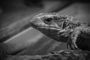 うらら酵素の口コミで知る効果と体験談は？