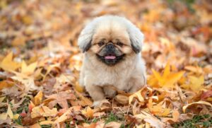 酵素ドリンクがまずいと感じる理由と対策は？