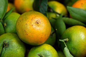 酵素ドリンクの無添加オーガニック人気商品は？