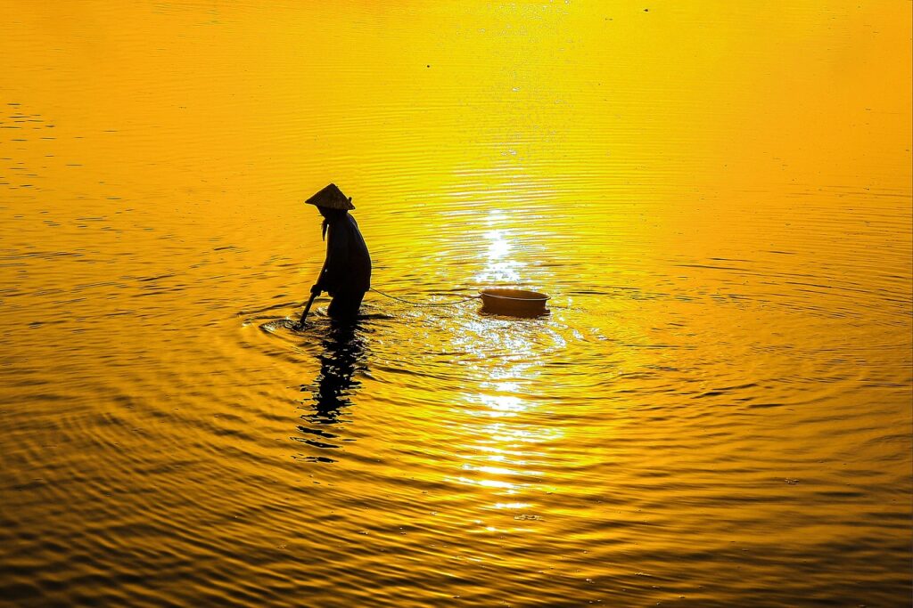 酵素ドリンクのSNSでの評判は本当に良いのか？