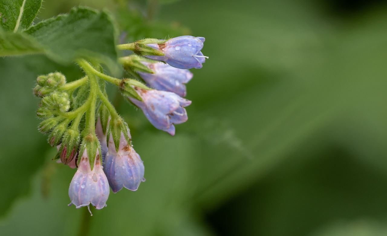 酵素ドリンクはニキビを良くなる効果があるのか？