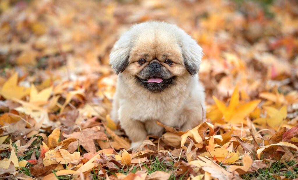 万田酵素は本当に酵素が死んでるのか？